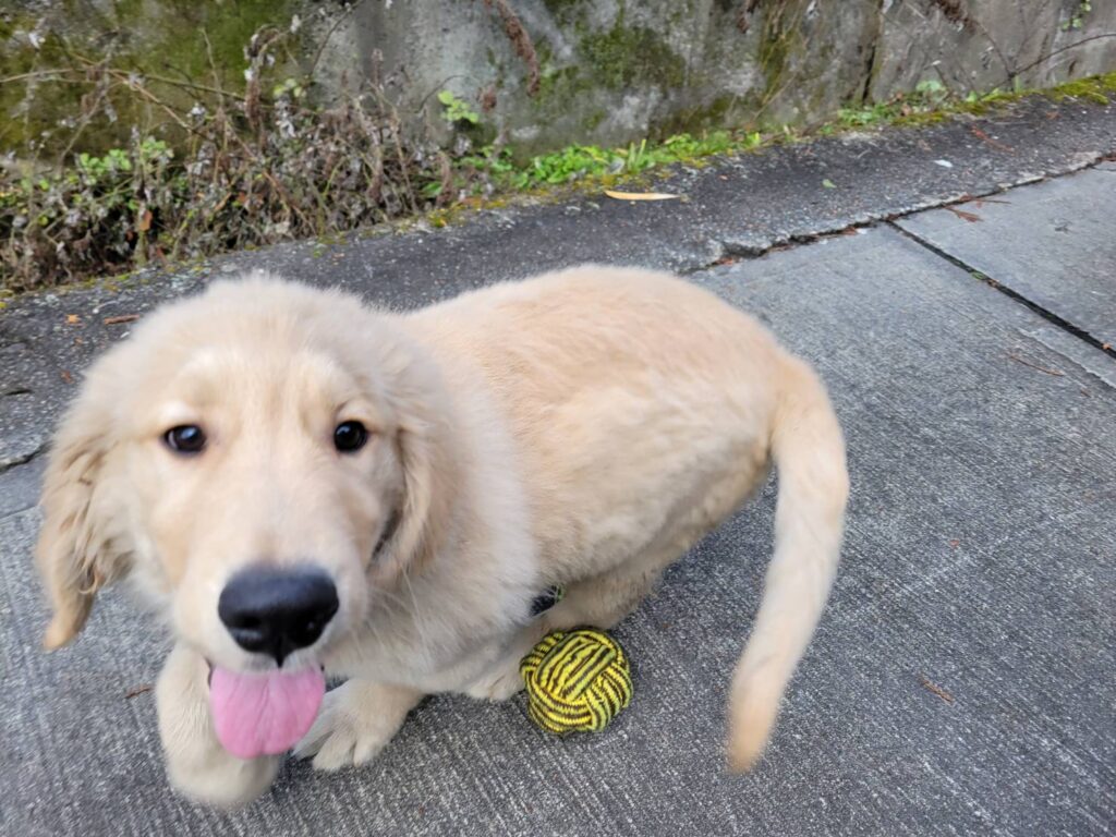 <span class="title">9/7GR♀2542</span>