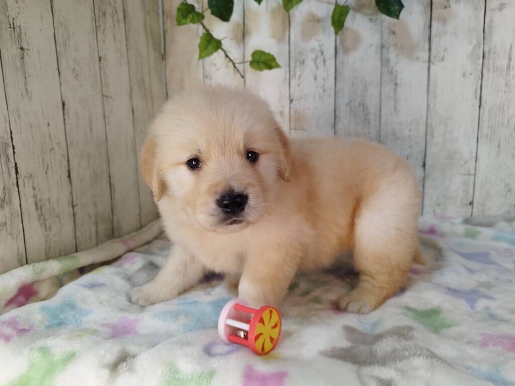 <span class="title">11/4RG♀5</span> <span class="title">11/4RG♀5</span>