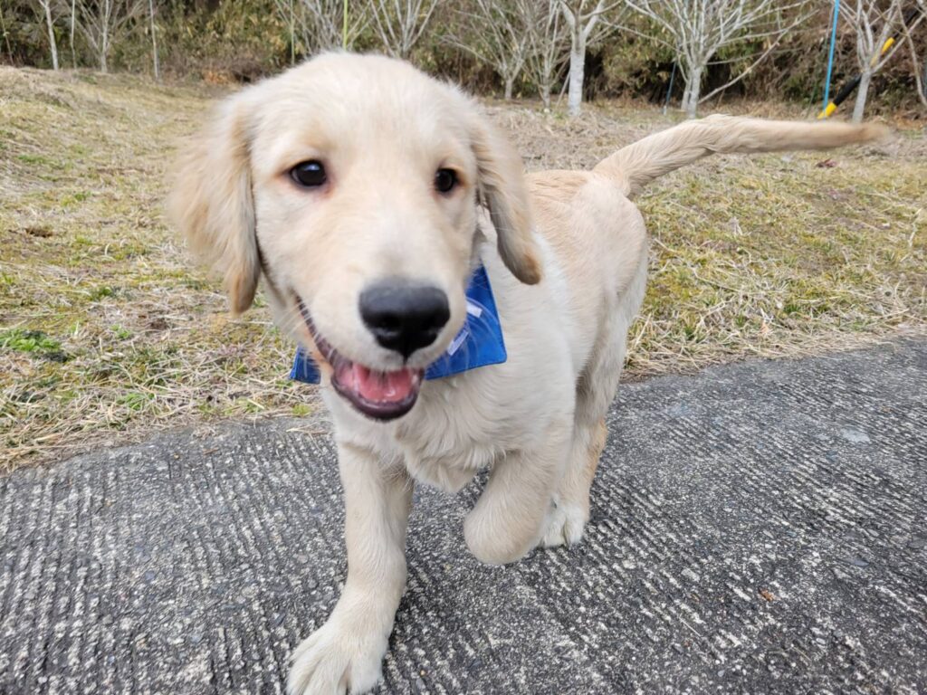 <span class="title">10/24RG♂8709</span>