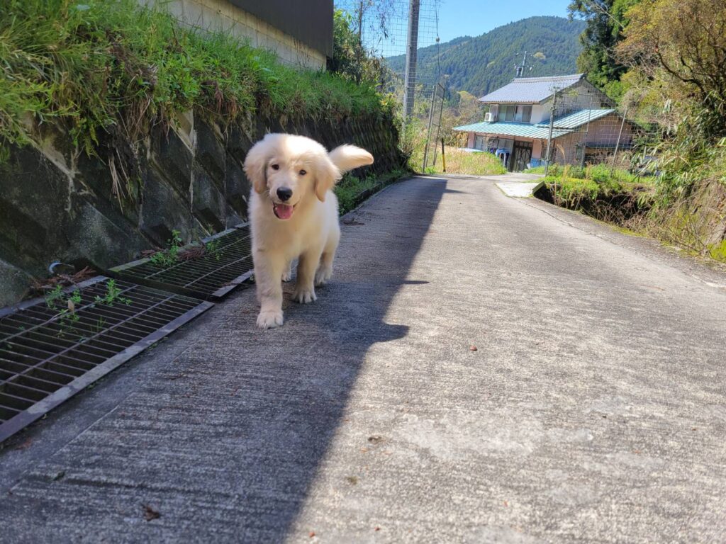 <span class="title">1/6RG♂3333</span>