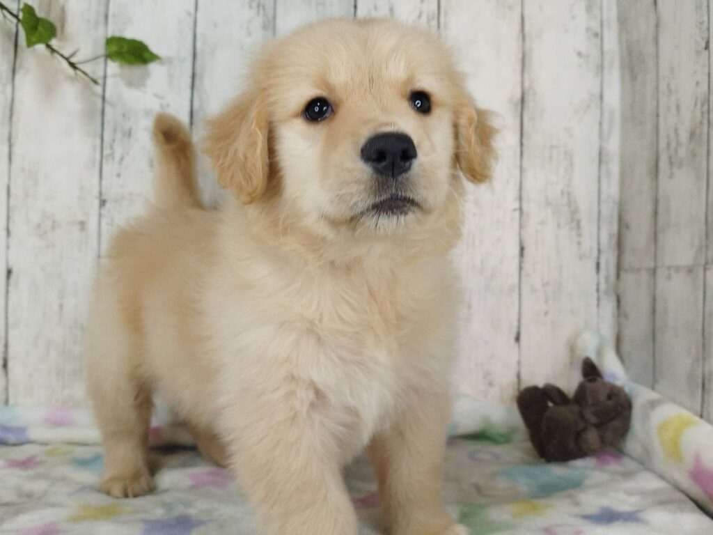 <span class="title">1/20RG♀3</span> <span class="title">1/20RG♀3</span>