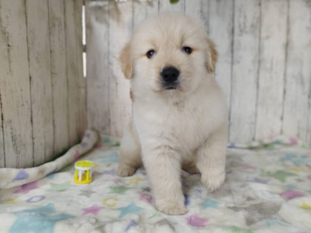 <span class="title">1/20RG♂1672</span> <span class="title">1/20RG♂1672</span>