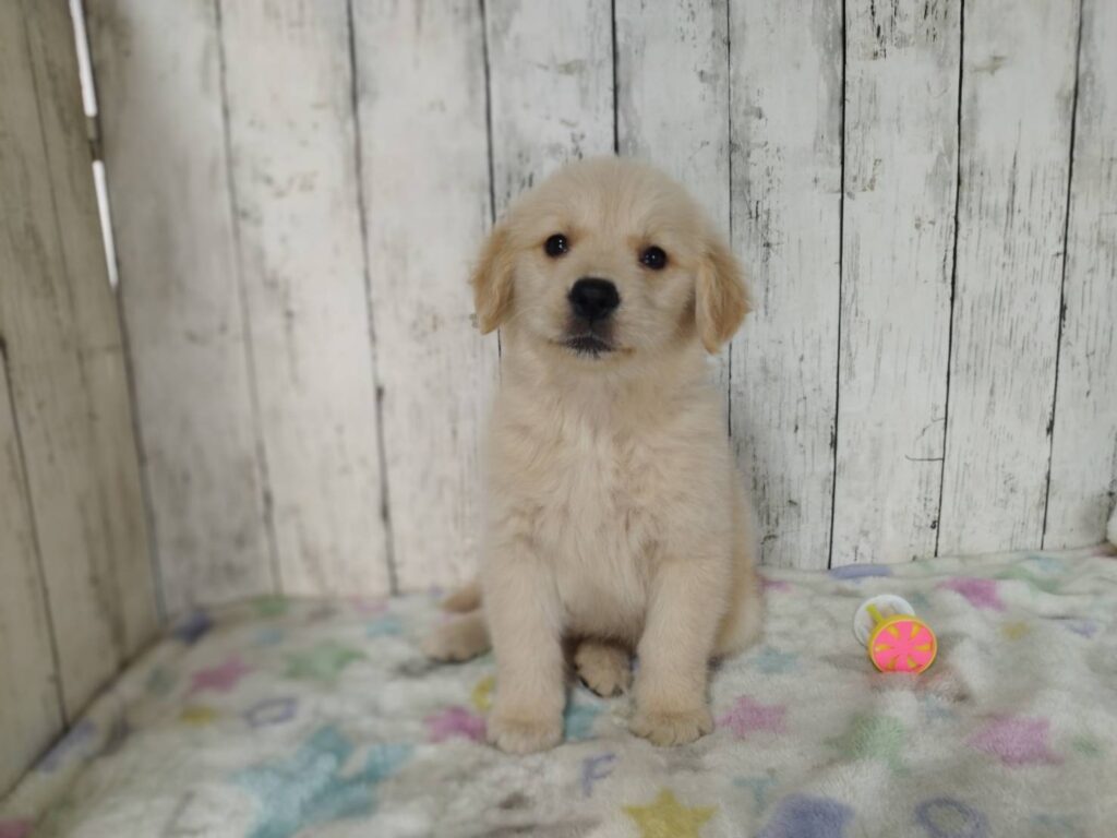 <span class="title">1/30RG♀3</span> <span class="title">1/30RG♀3</span>