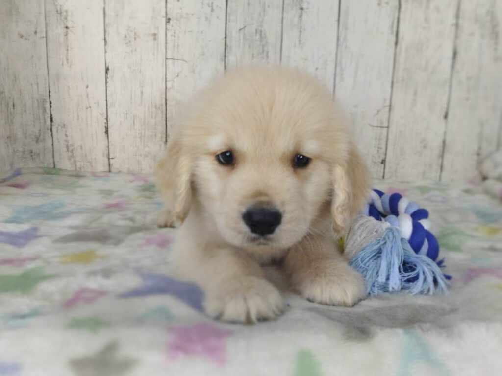 <span class="title">1/30RG♂5</span> <span class="title">1/30RG♂5</span>